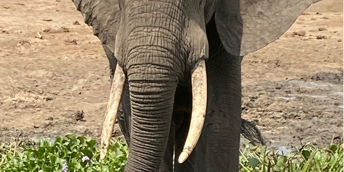 Screenshot 2025-07-13 at 7.54.29 AM